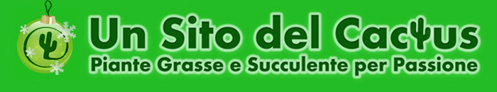 Piante grasse e scculente per passione