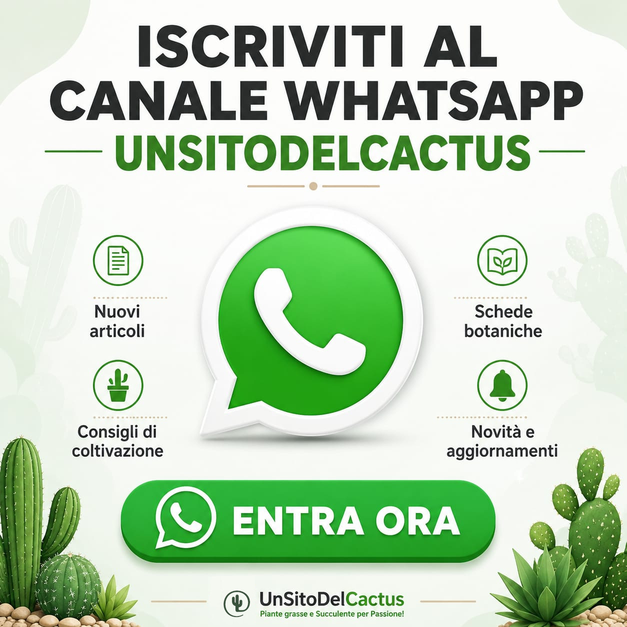 scarica