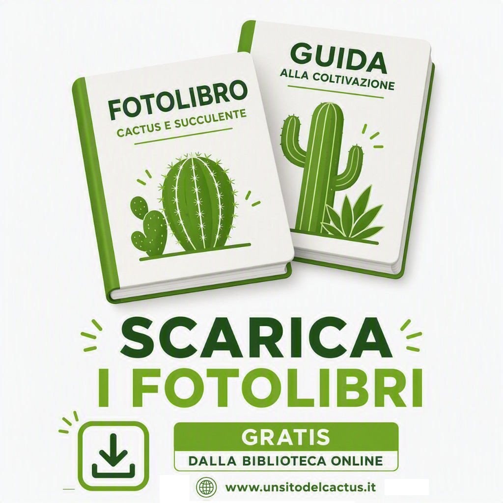 fotolibro_usdc_2016.png