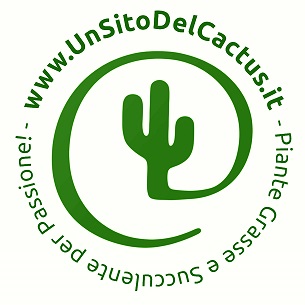 www.unsitodelcactus.it