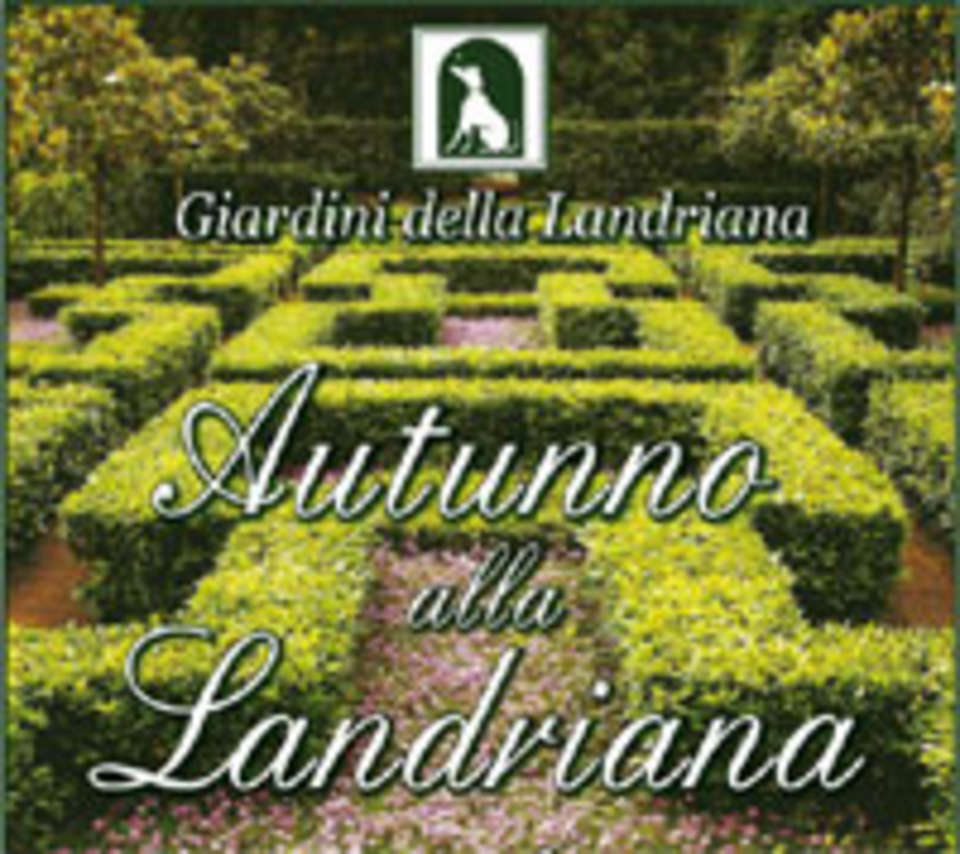 1196_IMG_landriana4_autunno.jpg