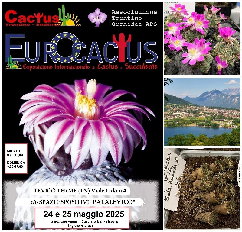Brochure_EUROC25.jpg