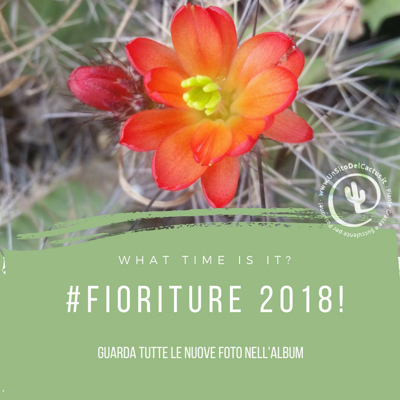 FIORITURE2018.jpg