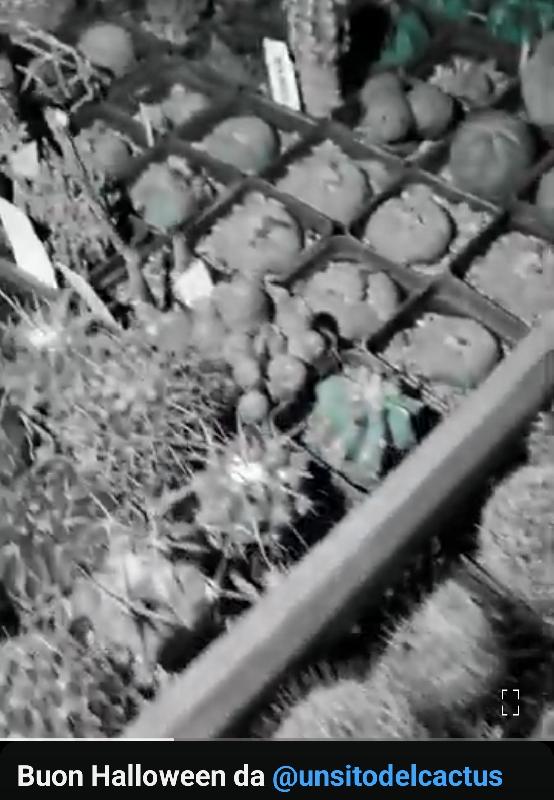 Screenshot_20241101_124929_YouTube.jpg
