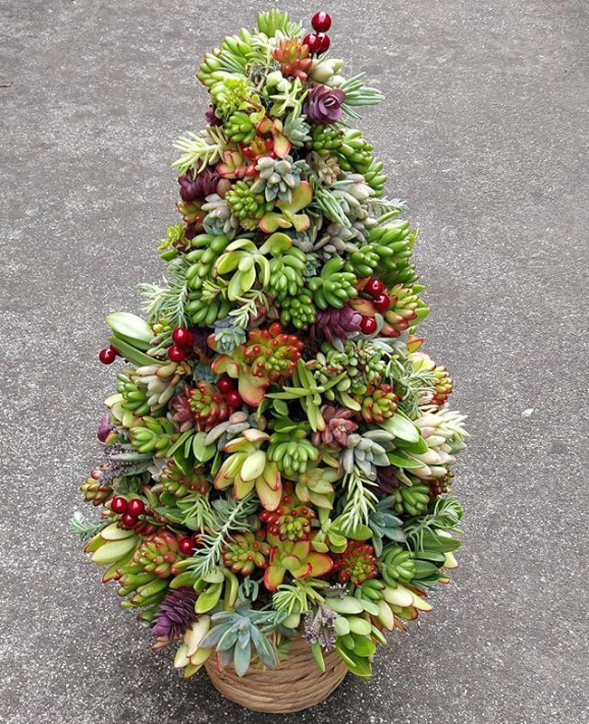 Succulent-Christmas-Tree-Ideas.jpg