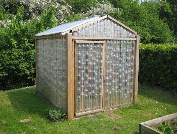 diy-greenhouse.jpg