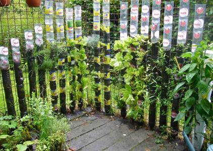 drink-bottle-kitchen-garden.jpg