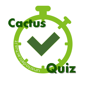 logo_cactusquiz.png