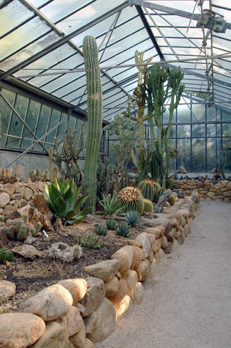 orto_botanico_ser_piant_grasse01.jpg