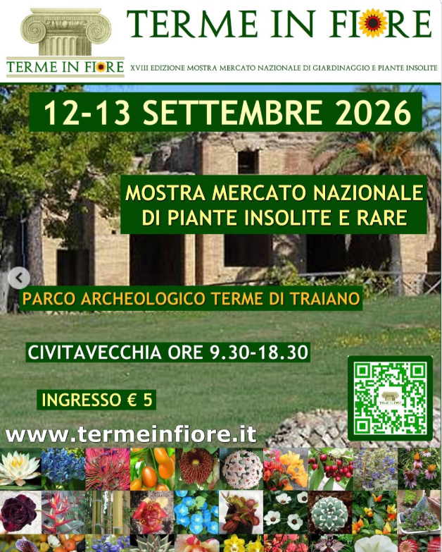 termeinfiore26.png