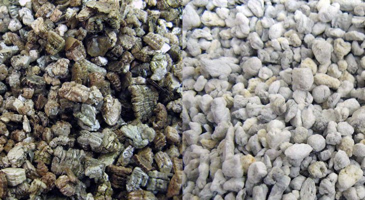 vermiculite-vs-perlite.jpg