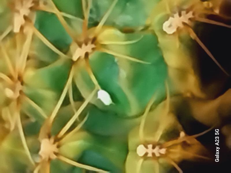 20250328_080524.jpg