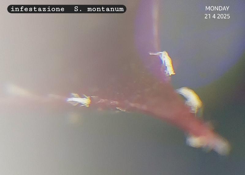 20250421_161415.jpg